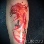 тату феникс акварель - фото готовой татуировки от 11022016 13