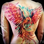 тату феникс акварель - фото готовой татуировки от 11022016 2