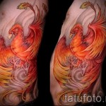 тату феникс в огне - фото готовой татуировки от 11022016 4