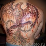 тату феникс мужская - фото готовой татуировки от 11022016 2