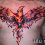 тату феникс на груди - фото готовой татуировки от 11022016 16