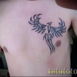 тату феникс на груди - фото готовой татуировки от 11022016 3