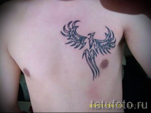 тату феникс на груди - фото готовой татуировки от 11022016 3