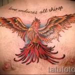 тату феникс на груди - фото готовой татуировки от 11022016 5