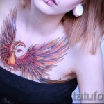 тату феникс на груди - фото готовой татуировки от 11022016 8