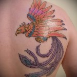 тату феникс на плече - фото готовой татуировки от 11022016 1