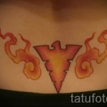 тату феникс на пояснице - фото готовой татуировки от 11022016 8