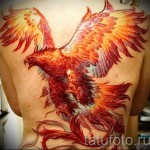 тату феникс на спине - фото готовой татуировки от 11022016 1