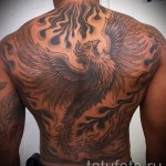 тату феникс на спине - фото готовой татуировки от 11022016 2