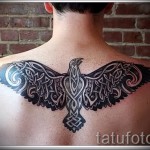 фото татуировки с фениксом между лопаток у парня