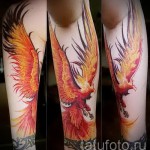 тату феникс рукав - фото готовой татуировки от 11022016 3