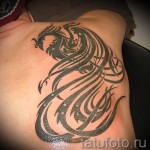 тату феникса на спине фото - фото готовой татуировки от 11022016 6