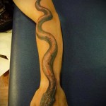 3d snake tattoo on her arm pictures - Example photo of the finished tattoo on 02032016 1
