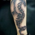 3d tattoo on his leg - an example of the finished tattoo photos by 02032016 3