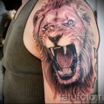 3д тату лев - пример фотографии готовой татуировки от 02032016 2
