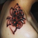 3д тату с пауком - пример фотографии готовой татуировки от 02032016 3