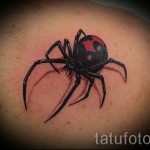 Spinne 3d tattoo - Beispielfoto des fertigen Tätowierung auf 02032016 3