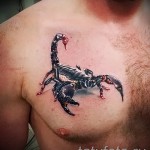 scorpion tatouage d'images 3D - Exemple photo du tatouage fini sur 02032016 3