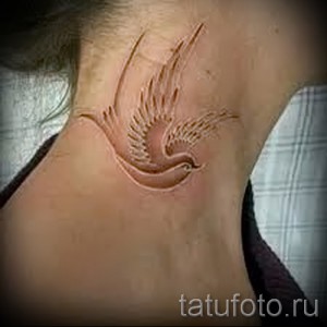 Фото белой татуировки ласточки на женской шее. Нежный и изящный рисунок, выполненный в технике white tattoo.
