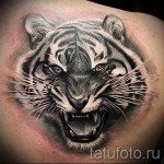 weißer Tiger Tattoo - ein Foto mit einer Ausführungsform des fertigen Muster 29032016 1