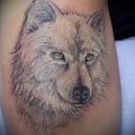 white wolf tattoo - photo with an embodiment of the finished pattern of 29032016 1