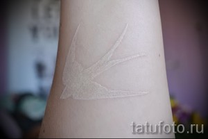 Фото белой татуировки ласточки на предплечье. Изящный рисунок птицы, выполненный тонкими линиями, выглядит как легкий шрам.