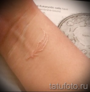 Фото белой татуировки на руке с изображением пера. White ink, минималистичный дизайн, нежный рисунок, женская идея для тату.