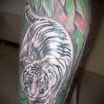 белый тигр тату - фото с вариантом готового рисунка от 29032016 2