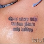 Фото тату с латинской фразой 'Quis attero mihi tantum planto mihi validus' на груди. Элегантный шрифт, выполненный в черном цвете.
