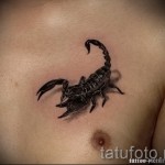 тату скорпиона 3д фото - пример фотографии готовой татуировки от 02032016 1