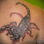 тату скорпиона 3д фото - пример фотографии готовой татуировки от 02032016 2