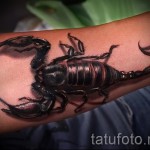 тату скорпиона 3д фото - пример фотографии готовой татуировки от 02032016 4