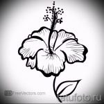 Черно-белый эскиз татуировки гибискуса, выполненный в стиле контурной графики с четкими линиями и детальной проработкой лепестков.