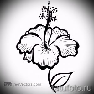 Черно-белый эскиз татуировки гибискуса, выполненный в стиле контурной графики с четкими линиями и детальной проработкой лепестков.