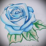 Skizze der Tattoo-blaue Rose - cool Tapete zu sehen 1