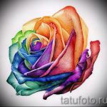 Skizzen tätowieren farbige Rosen - cool aussehen Tapete 1
