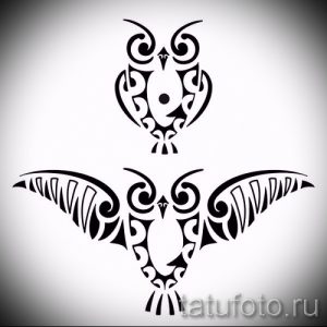 Два черно-белых эскиза татуировки совы в стиле трайбл. Один эскиз изображает сову анфас, другой – сову в полете, с расправленными крыльями.