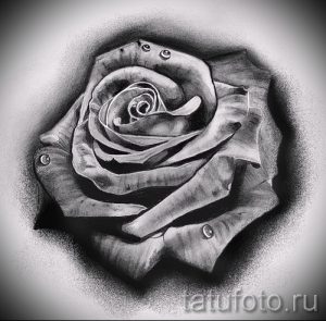 Фото тату эскиз с изображением реалистичной розы с каплями росы, выполненный в черно-серых тонах с высокой детализацией.