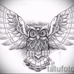 owl tatouage esquisse américaine 2