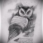 owl tatouage esquisse américaine 3