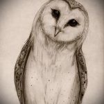 sketch of tattoo owl on hand 2