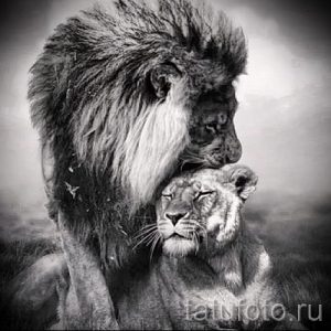 Фото татуировки двух львов, нежно прижавшихся друг к другу. Рисунок выполнен в черно-белой гамме с акцентом на детализацию шерсти и выразительные глаза.