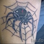 тату паутина с пауком - рисунок с большим пауком на теле