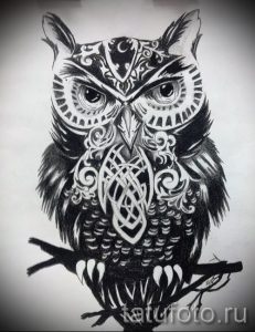 Фото татуировки совы, выполненной в стиле blackwork с использованием черных чернил и лунного орнамента.