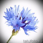 Фотография татуировки с изображением ярко-синего василька. Детализированный рисунок, выполненный в реалистичном стиле.