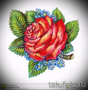 Фото эскиза татуировки с изображением красной розы, окруженной маленькими синими незабудками и зелеными листьями. Рисунок выполнен в акварельной технике.