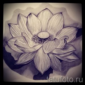 Фотография эскиза татуировки с изображением цветка лотоса, выполненного в черно-белой графике с использованием штриховки и теней.