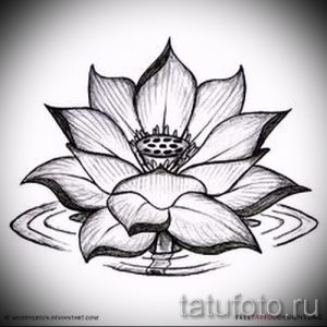 Черно-белый эскиз татуировки лотоса, выполненный в стиле line art с тонкими линиями и детальной проработкой. Идеально подходит для минималистичного дизайна.