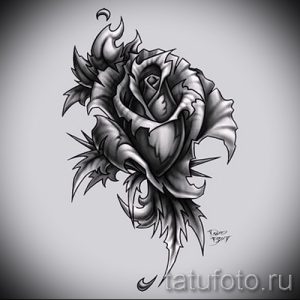 Эскиз татуировки розы, окруженной острыми шипами. Символизирует красоту, которая может быть опасной. Выполнено в реалистичном стиле.