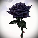 черная роза тату эскиз - смотреть прикольную картинку 13
